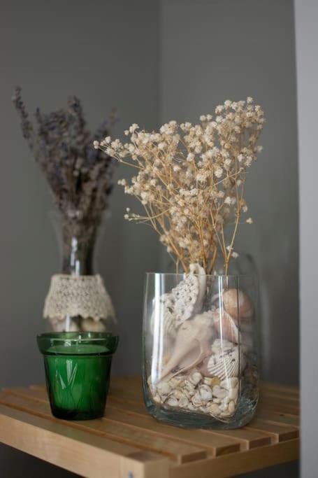 Apartmán Cal Punte - Anita Ponst Exteriér fotografie
